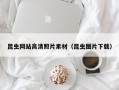 河南昆虫网站高清照片素材（昆虫图片下载）